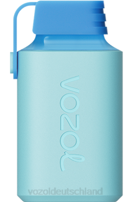 VOZOL GEAR 600 Blaubeereis VOZOL Deutschland 6DXZ361