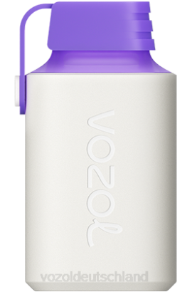 VOZOL GEAR 600 Waldbeerenenergie VOZOL Online Kaufen 6DXZ350