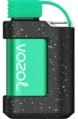 VOZOL GEAR 7000 Wassermeloneneis VOZOL Vape Berlin 6DXZ344