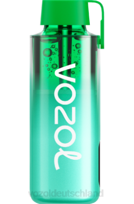 VOZOL NEON 10000 Miami-Minze VOZOL Kaufen 6DXZ229