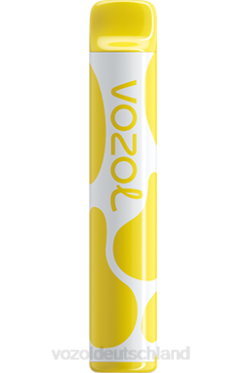 VOZOL JOYGO 600 Bananeneis VOZOL Vape Deutschland 6DXZ376