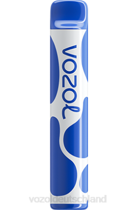 VOZOL JOYGO 600 Blaubeersturm VOZOL Online Kaufen 6DXZ390