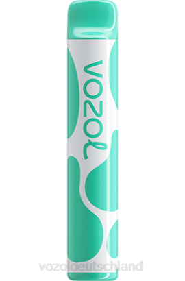 VOZOL JOYGO 600 Menthol VOZOL Preis 6DXZ387