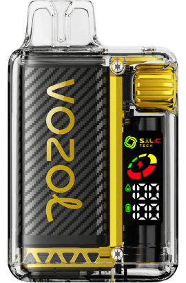 VOZOL VISTA 16000/20000 Mango-Eis VOZOL Vape Preis 6DXZ8