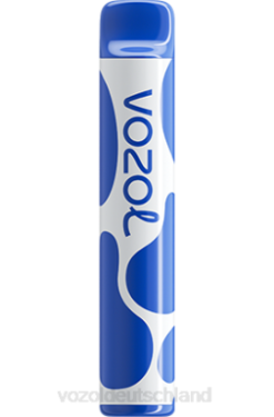 VOZOL JOYGO 600 Blaubeersturm VOZOL Online Kaufen 6DXZ390