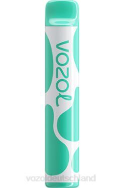 VOZOL JOYGO 600 Menthol VOZOL Preis 6DXZ387