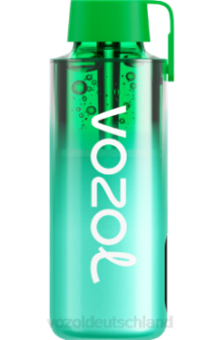 VOZOL NEON 10000 Miami-Minze VOZOL Kaufen 6DXZ229