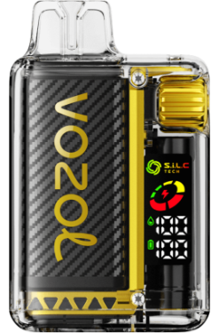 VOZOL VISTA 16000/20000 Mango-Eis VOZOL Vape Preis 6DXZ8